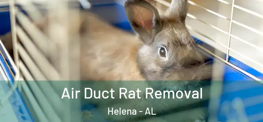 Air Duct Rat Removal Helena - AL