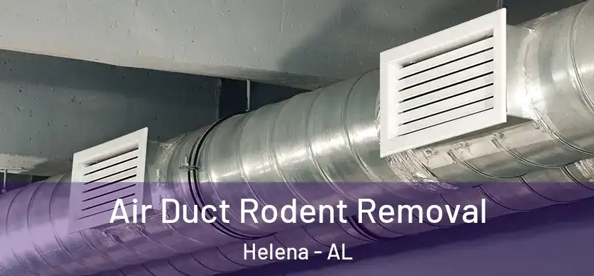 Air Duct Rodent Removal Helena - AL