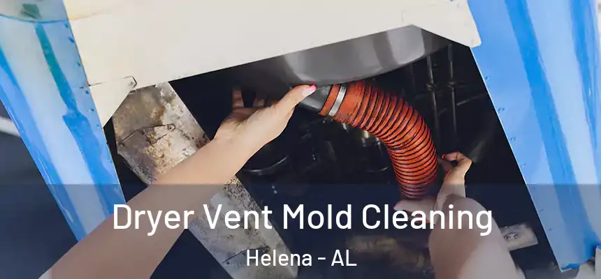 Dryer Vent Mold Cleaning Helena - AL