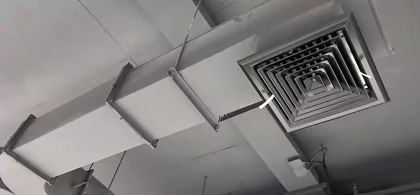 Restorative Allergy Relief Vent Cleaning – Coil, Blower & Housing Detail in Helena