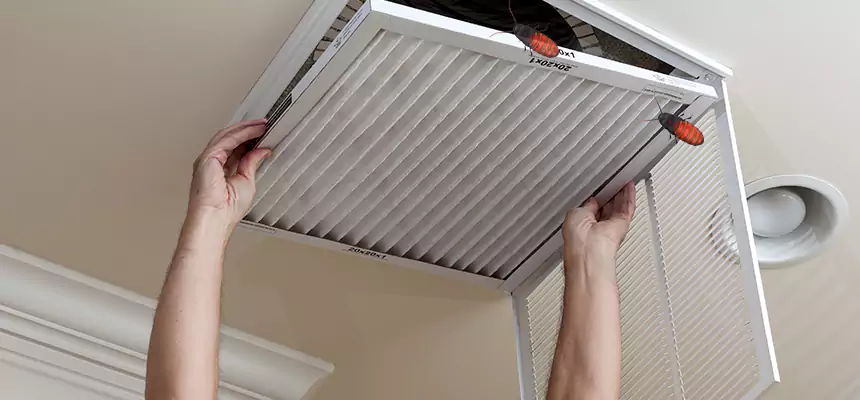 Our Insect Removal from Air Ducts Services in Helena, AL