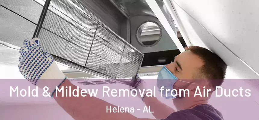 Mold & Mildew Removal from Air Ducts Helena - AL