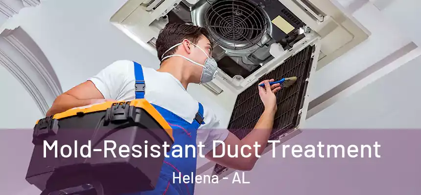 Mold-Resistant Duct Treatment Helena - AL