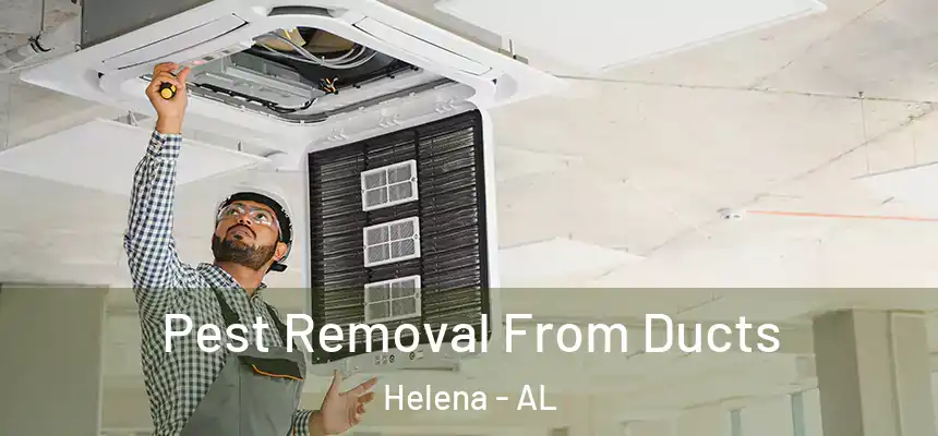  Pest Removal From Ducts Helena - AL