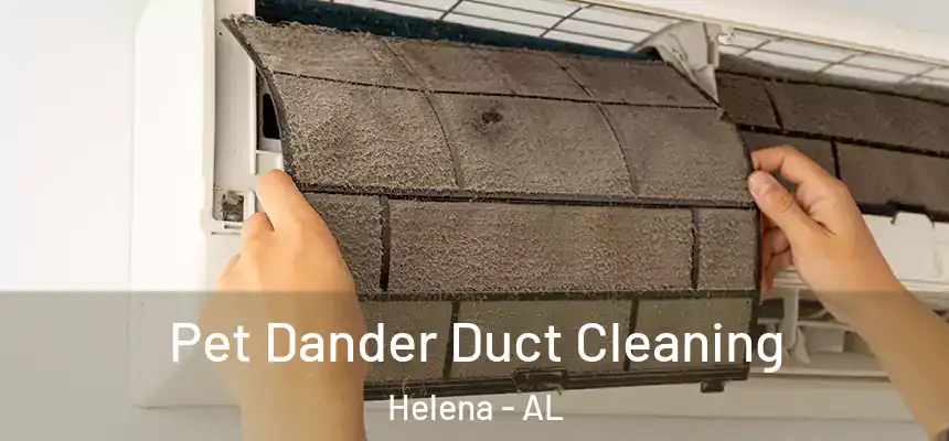 Pet Dander Duct Cleaning Helena - AL