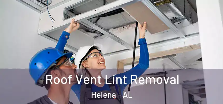 Roof Vent Lint Removal Helena - AL