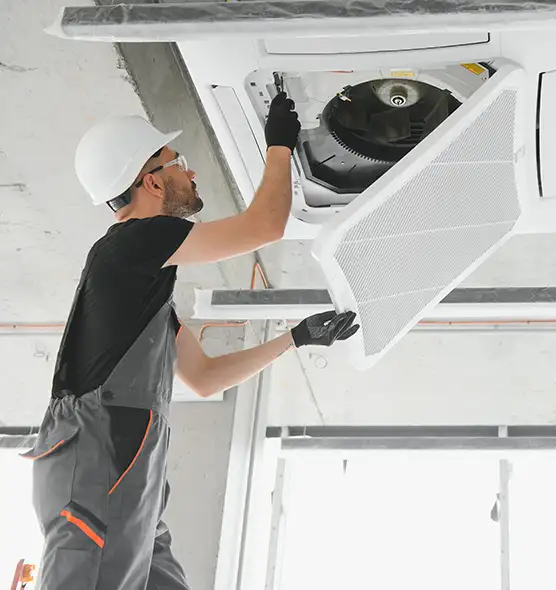 About Air Duct Rodent Removal in Helena, AL