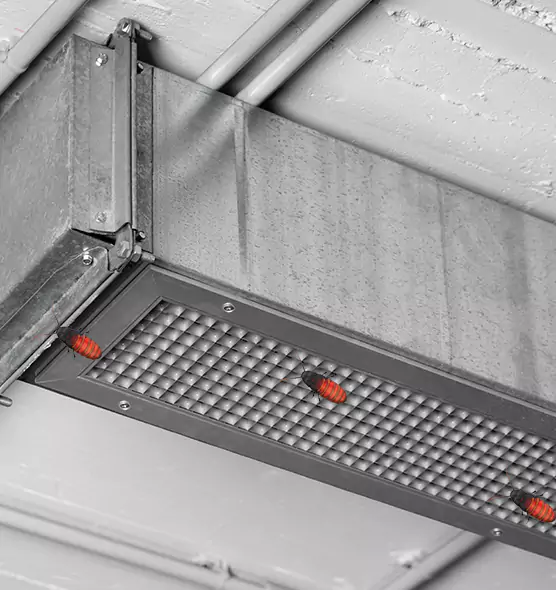 Affordable Insect Removal from Air Ducts in Helena, AL