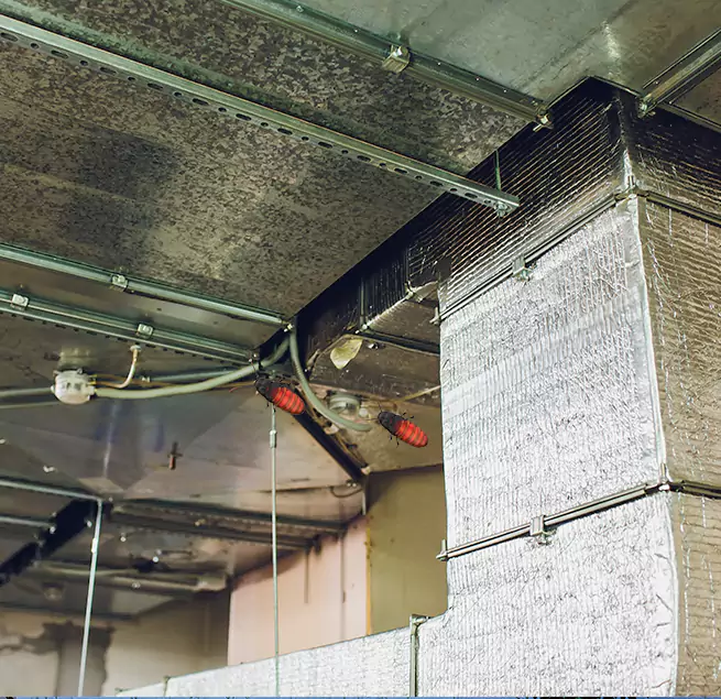 Why Homeowners & Businesses Trust Us Helena, AL?