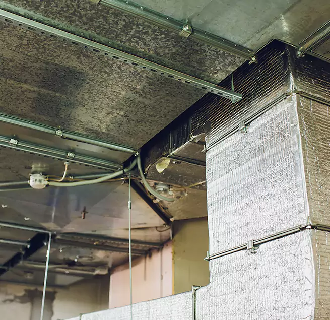 Why Homeowners & Businesses Trust Us in Helena, AL?